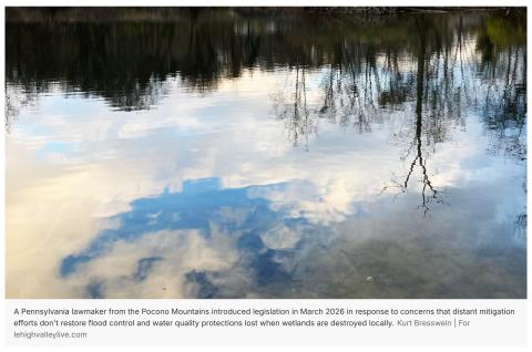wetlands