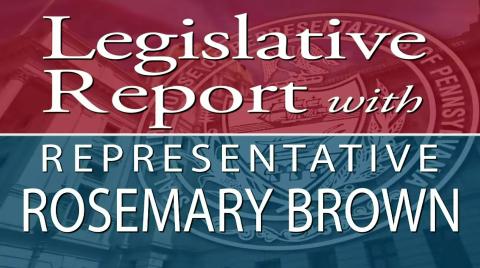 legislative report