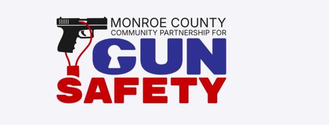 gun safety